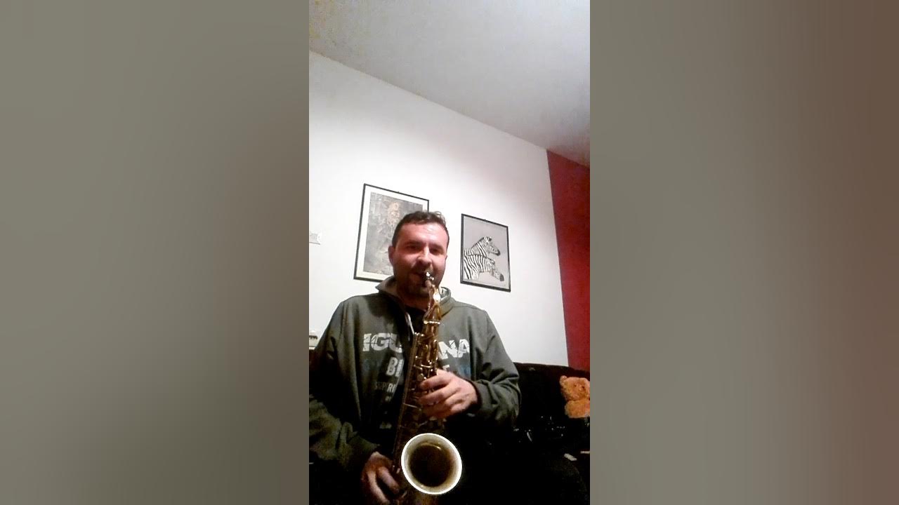 test-alto-sax-selmer-mark-6-vs-yamaha-62-youtube