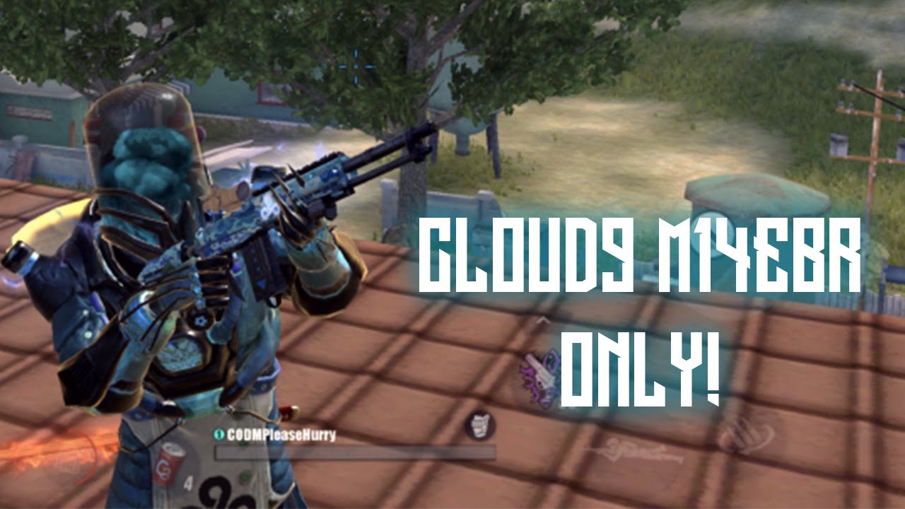CLOUD9 M14EBR SKIN ONLY! Rules Of Survival Challenge!
