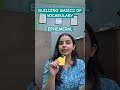 BUILDING BASICS OF VOCAB DAY 03
