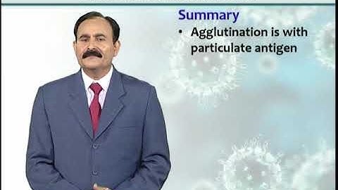 Microbial Identification (2): Agglutination Tests | Introduction to Biotechnology | BIO5101_Topic115