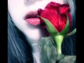 عمار الشريعي عزف رائع عمار الشريعي عزف رائع