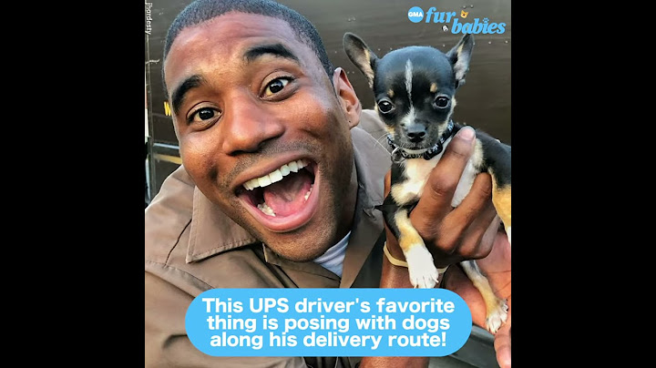 UPS driver takes the cutest selfies with all the dogs on his Friday delivery routes l GMA Digital
