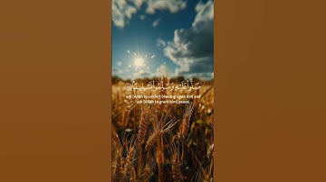 إن اللّه وملائكته يصلون على النبي. #قران_كريم #قرآن #تلاوة_خاشعة #اكسبلور #راحة_نفسية #المصحف