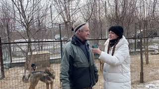 Социальный видеоролик «Бездомные собаки города Иркутск»