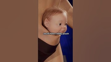 Scientists make human 2.0