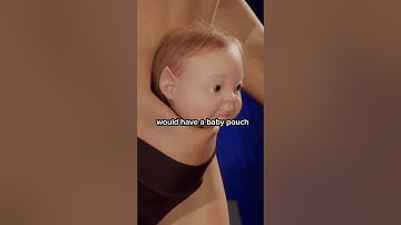 Scientists make human 2.0