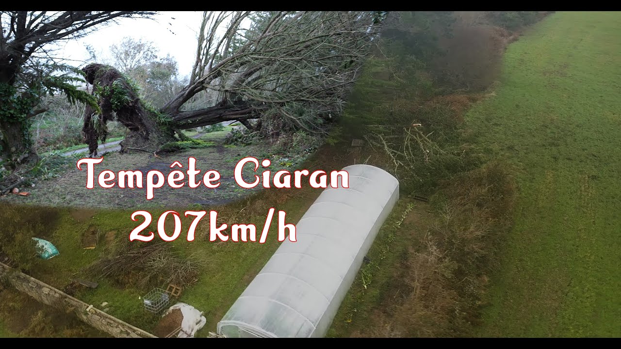 Serre DOLMEN PRO 500 après la tempête Ciaran au Potager de CHA