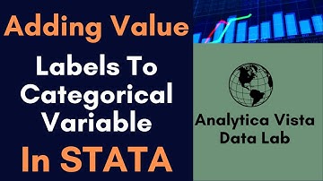 4. How to add Value Labels to a Categorial Variable in STATA?