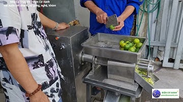 Máy Vắt Nước Cốt Chanh - Điện Cơ Xanh 0984467870