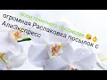 Большая Распаковка товаров из Китая AliExpress. Nikole Diary, BORN PRETTY, дорожная косметичка...