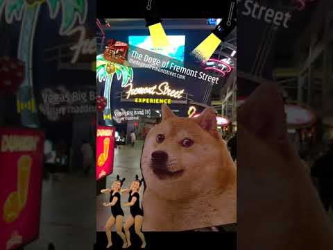 Was ist Dogecoin und warum für Casino-Spiele nutzen?