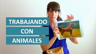 Hubert Hudson pastor Aventurarse Juegos de Animales para Niños ( Montessori en Casa ) - YouTube