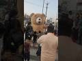 Teddybear teddy dance comedy