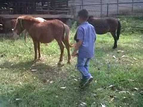 Farrel Almuzaki dan Kuda Poni 1 - YouTube