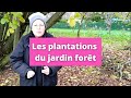 Jardin fort  quelques exemples damnagements et de plantations