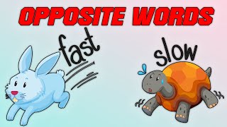 Opposite Words in English | En Önemli İngilizce Zıt Anlamlı Kelimeler | İngilizce Öğreniyorum screenshot 3