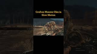 Bugthesda really has its moments haha #fallout #fallout76 #bugthesda #gradtonmonster #videogames