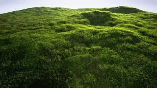 Celebrity Fixing foliage popping problem in sequencer ( Movie render queue ) Unreal Engine 4 Wealth
