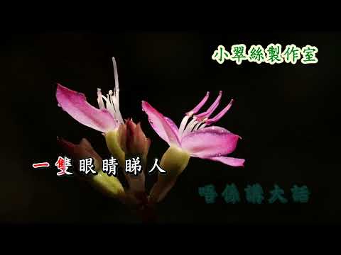 七擒七縱七色狼插曲【難騎桃花馬】卡拉OK純音樂