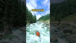 Pahalgam Kashmir Tour | Best Places to Visit in Kashmir | Delhi to Kashmir Tour #youtubeshorts