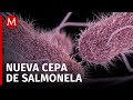 Emiten alerta por casos de salmonela, puede causar enfermedad diarreica