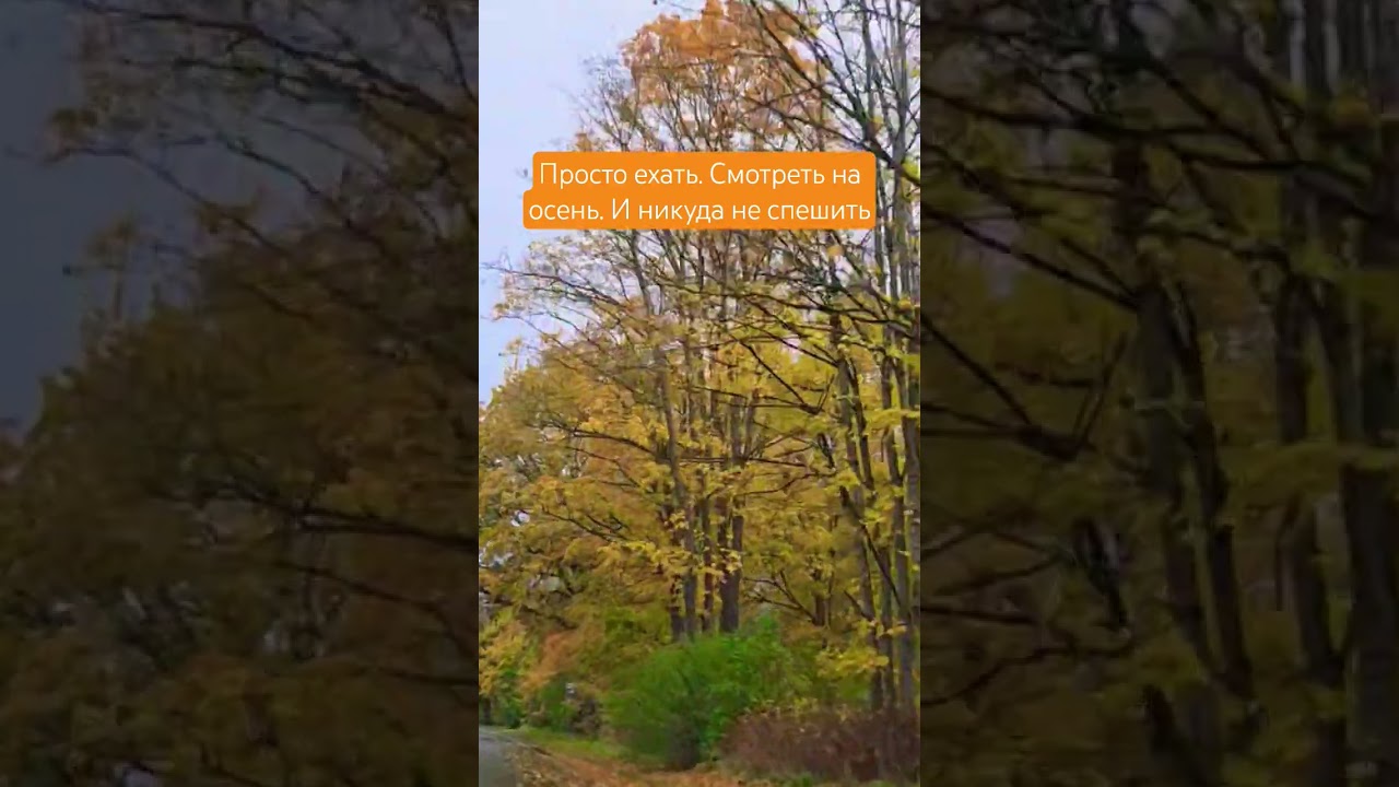 Просто еду и наслаждаюсь осенью 🍁