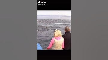 Amazing #Viral #Shorts