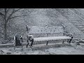 Snowy bench (Unreal Engine 5, 3ds Max, TyFlow, Niagara)