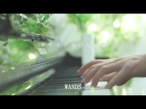 【ピアノ】カナリア鳴いた頃に/WANDS（フル）