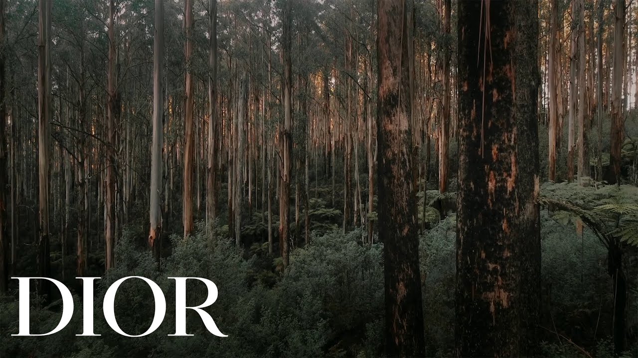BORN IN THE WILD, CRAFTED BY DIOR - Santal