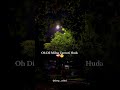 Zaroori Nai by Afsana Khan | Status video | Punjabi status | Status #status #shorts #ytshorts