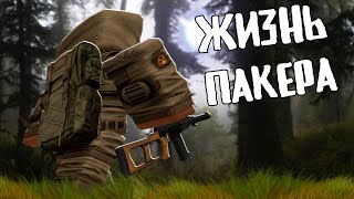 STALCRAFT  самый быстрый пакер с ВСС