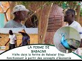 Odcouvertebabacar diop fondateur dune ferme agro cologique  toubab dialaw la ferme de babacar