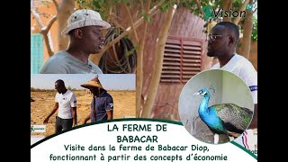 ODécouverte:Babacar Diop, fondateur d'une ferme agro écologique à Toubab Dialaw. La ferme de Babacar