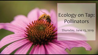 Dr. Frances Sivakoff: Plant Pollinator Interactions - Mighty Mutualisms