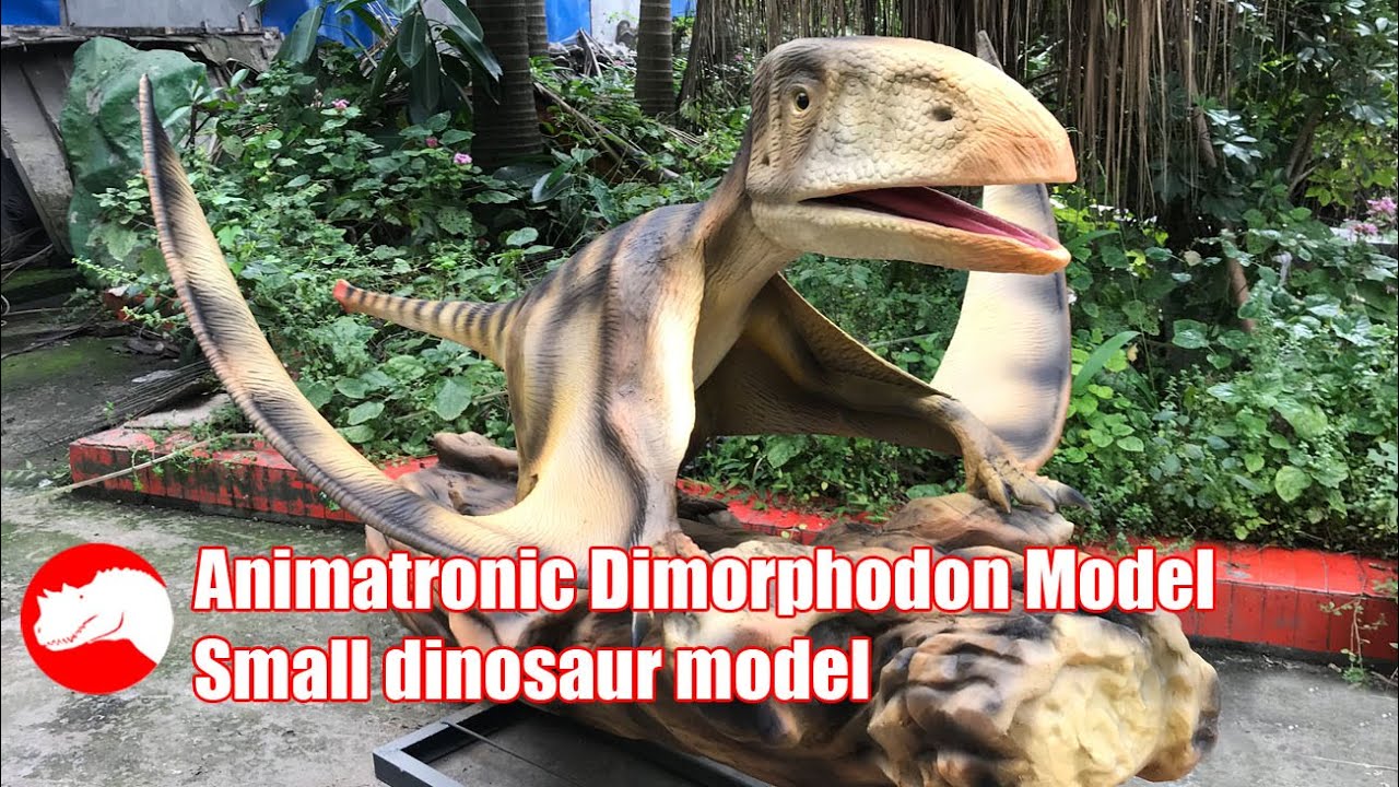 Animatronic Dimorphodon / Pteranodon Model - Small Dinosaur Exhibit ...