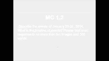 VAST 2014 Mini Challenge 1