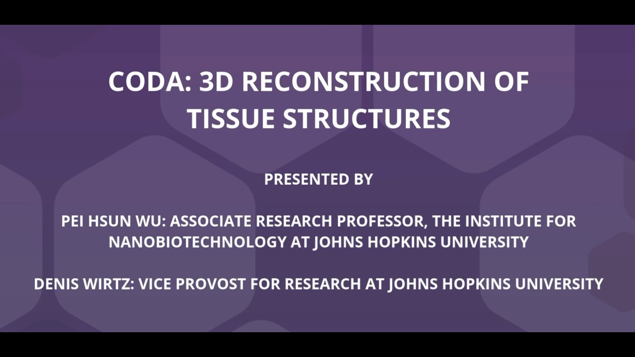 SenNet Interview Series: "CODA" 3D Reconstruction of Tissue Structures ...