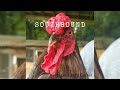 Southbound By Kountry Carter Official Audio Produced By Dub3030 mp3