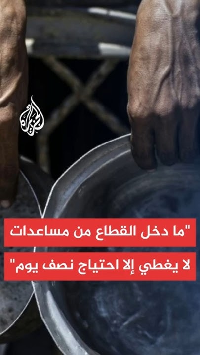  : 800           
 - نشر قبل 2 ساعة