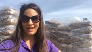 How to Install Mulch