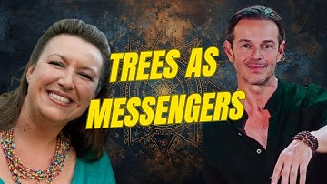 How to tune into the messages trees have for you now & whats