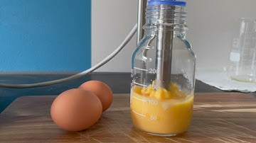 Everywave ultrasonic homogenization of eggs