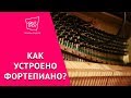 Как устроено фортепиано? 🎹 ⚙