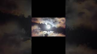 #XHKingdomOfficial #HistoryNews #RetroDocumentary #CinematicEditing #ViralVideo