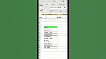 How to Sort Names Alphabetically in Excel (SORT Function)