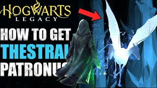 Getting a THESTRAL Patronus In Hogwarts Legacy! WizardingWorld (Pottermore) New Rarest Patronus...