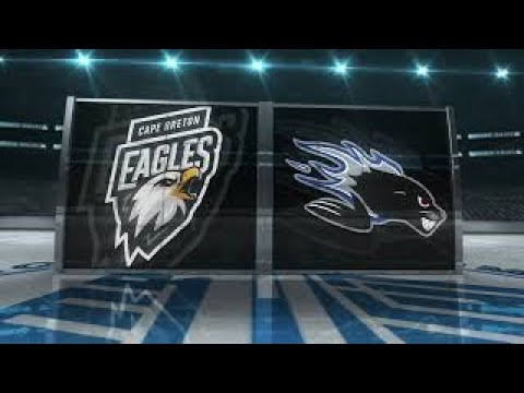 #249 Cape Breton Eagles 3 Saint John Sea Dogs 6 - 02 12 2023