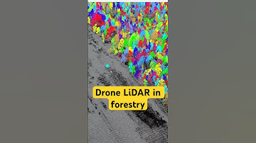 Drone LiDAR Revolutionizes Forestry with UgCS #shorts #ugcs #lidar