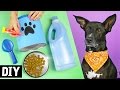 DIYs 🐶 Pet Lovers 🐾 Lenço, Potinho de Ração e +